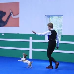 Meet your Posher, Robyn